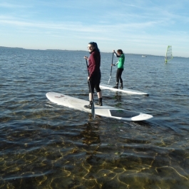 Absurfen_Pepelow_1