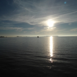 Absurfen_Pepelow_12