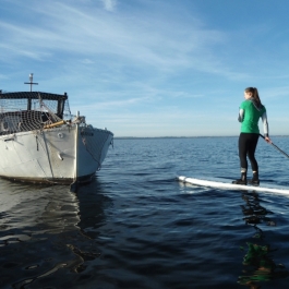 Absurfen_Pepelow_4