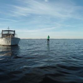 Absurfen_Pepelow_6