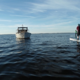 Absurfen_Pepelow_7