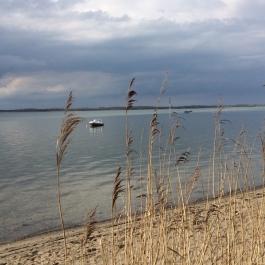 pepelow2015_9