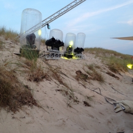 Lichterspots in der Düne