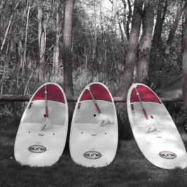 SUP-Boards im funmüritz Wassersportcenter