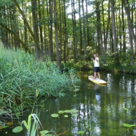 Sup_Center_Wismar_5