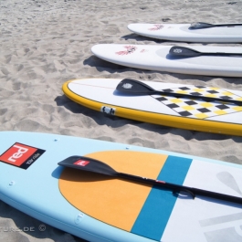 Surf_Kite_Club_Zingst_5