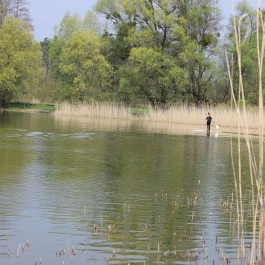 Petznick in der Uckermark